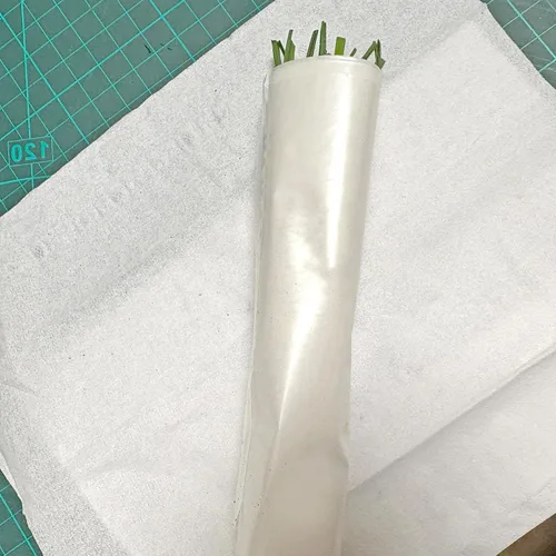Vista 8 de Orgánicos 10 Plantas Ajo Cebollino Planta Viva Raíces Desnudas Hierba Perenne Resistente Jiu CAI Cebollino