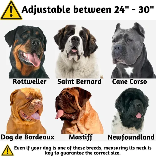Vista 2 de ADITYNA Collar de perro resistente para perros extra grandes con mango de Collar táctico de camuflaje para caminar, entrenar, uso diario