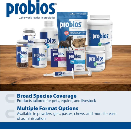 Vista 7 de Probios Apoyo Digestivo Probiótico para Todas las Especies, Probióticos para la Salud Intestinal, Polvo Dispersable, 240 g