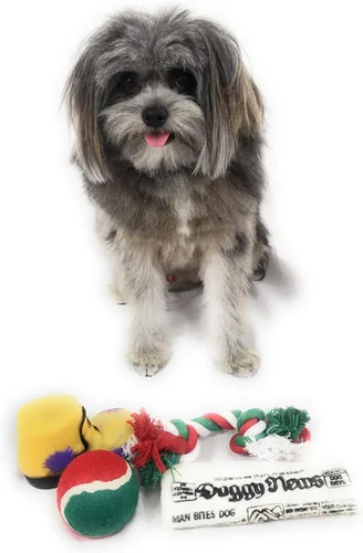 Vista 4 de Calcetín de Navidad para perros. Juguete de periódico chirriante, juguete de bota chirriante, una pelota de tenis roja, verde y blanca y una cuerda