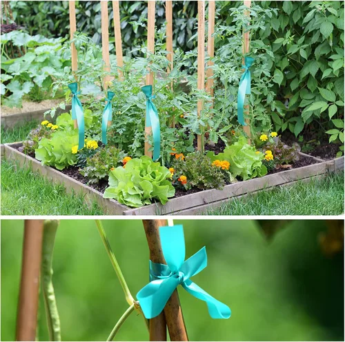 Vista 5 de TELENT OUTDOORS Cinta de amarre elástica, 1 pulgada de ancho y 200 pies, reutilizables, para plantas de jardín, cintas verdes para plantas, cinta