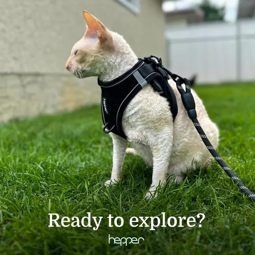 Vista 8 de Hepper Juego de arnés y correa para gatos, chaleco táctico negro para gatos con tiras de seguridad reflectantes, andador de gatitos o gatos (XXS)