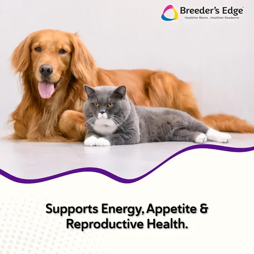 Vista 2 de Breeder's Edge B Polvo fuerte, suplemento vitamínico de complejo B para perros y gatos, apoya la salud reproductiva, promueve los ciclos de calor