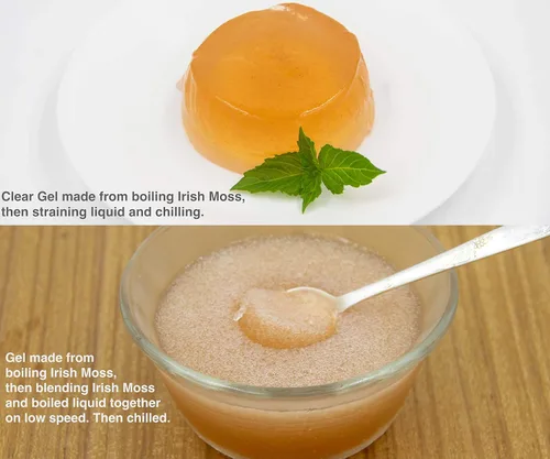 Vista 6 de Musgo irlandés premium Caribbean Superfood - Semillas artesanales silvestres, cosechadas éticamente, hace 4 cuartos de gel