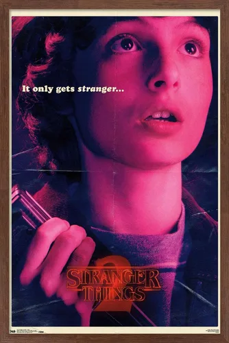 Vista 17 de Netflix Stranger Things: Temporada 2 - Póster de pared de Mike, 22.4 x 14.7 pulgadas, versión con marco de madera de Barnwood