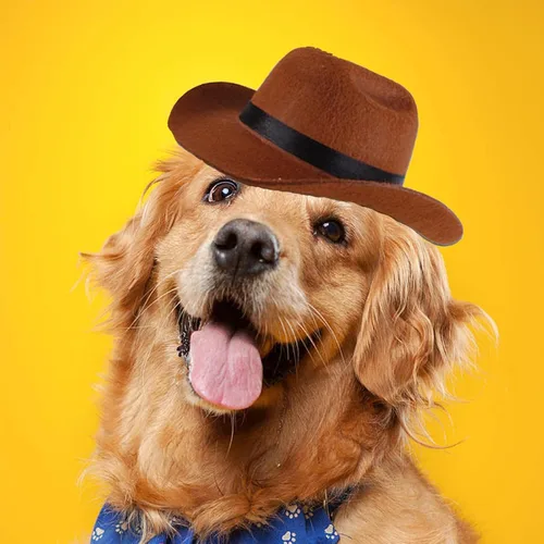 Vista 3 de Sombrero de vaquero para perro con cordón ajustable, bufanda triangular retro y sombrero de perro, sombrero de cosplay para perro, sombrero
