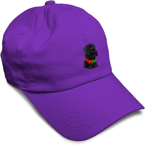 Vista 47 de Gorra de béisbol suave negra con cabeza de laboratorio bordada para perros, sarga de laboratorio negra, de algodón, con mosca de dragón, sombreros