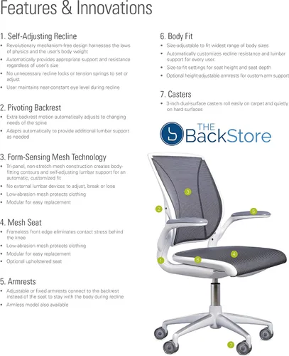 Vista 5 de Humanscale Diffrient World - Silla de escritorio de oficina – Brazos Duron ajustables – Marco negro a rayas negras respaldo y malla de asiento