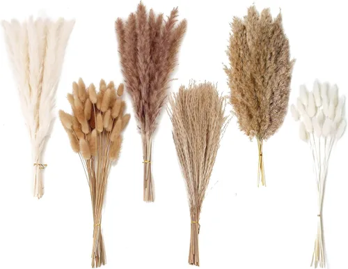 Vista 19 de 10 tallos de hierba de las pampas de 40 pulgadas de alto en color beige natural, añade un toque bohemio a tu espacio: hierba de las pampas ideal