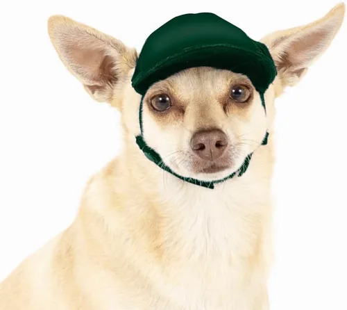 Vista 11 de DIY PupLid Trucker Hats (negro/blanco, XXS) - Sombrero de perro personalizable, lona en blanco para diseño personalizado, ajustable, protección