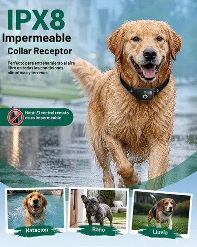 Vista 4 de Collar de choque para perros, collar de entrenamiento impermeable 1 perro (negro)