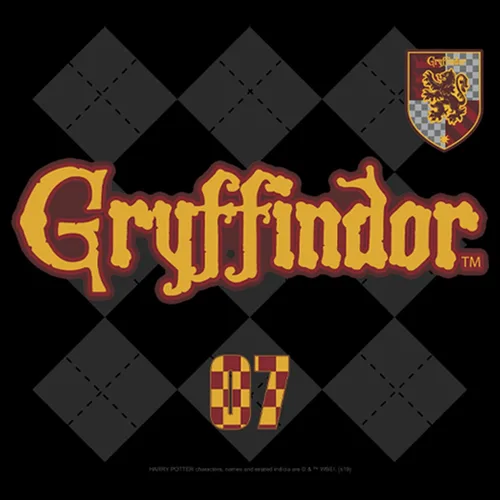 Vista 2 de Fifth Sun Sudadera con capucha para hombre con estampado de rombos de Harry Potter Gryffindor