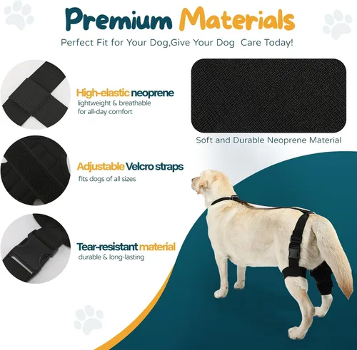 Vista 5 de Rodillera para perro ACL para perro, soporte para pierna trasera para perro ACL con collar adicional y soporte para tratar la artritis