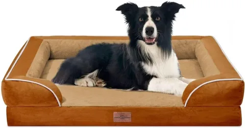 Vista 142 de Comfort Expression - Cama ortopédica para perros medianos, 28 x 19 pulgadas, cama impermeable y de apoyo de espuma con cojines removibles, sofá