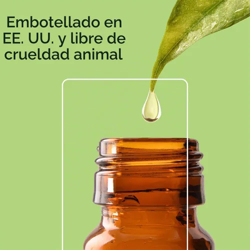 Vista 7 de Good Essential – Aceite de fragancia profesional de almendra 10 ml para difusor, velas, jabones, perfume, aromaterapia 0.33 fl oz