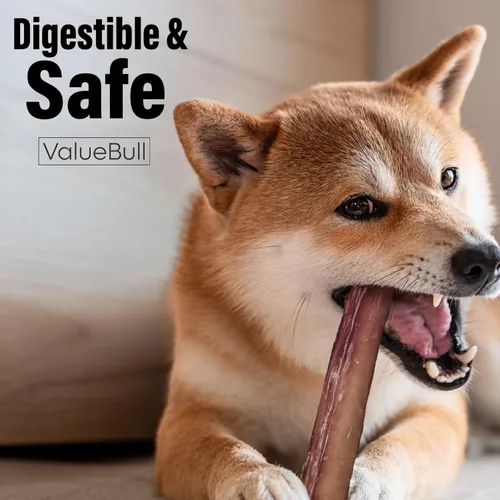 Vista 6 de ValueBull Bully Sticks para perros, medianos de 12 pulgadas, 100 unidades, totalmente naturales, alimentados con pasto, de un solo ingrediente