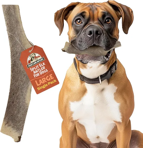 Vista 11 de Heartland - Astas de alce enteras para perros (4-5 pulgadas, paquete de 2) – Masticables dentales de larga duración e inodoros para masticadores