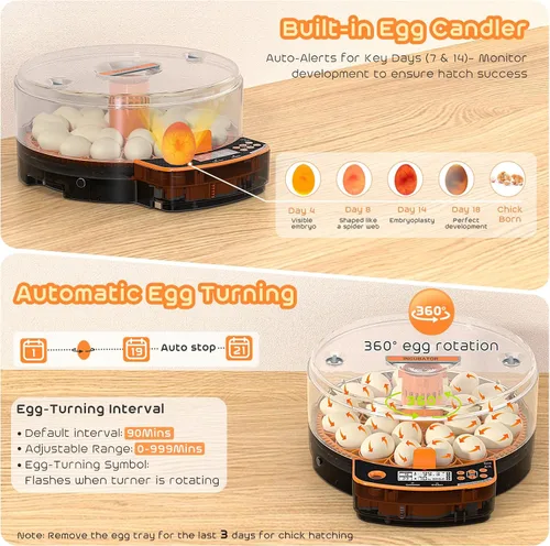 Vista 3 de AsFrost Incubadora automática de huevos de gallina, incubadora de huevos 24 huevos