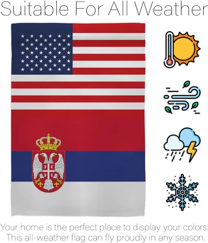 Vista 6 de Bandera de la Amistad de la Copa del Mundo de Serbia de Estados Unidos, asta de bandera de arte de pared para exteriores, decoración al aire libre