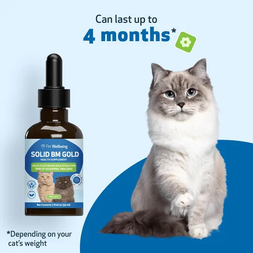 Vista 8 de Pet Wellbeing Solid BM Gold para gatos – Apoya la función digestiva saludable, heces sólidas, movimientos intestinales normales, bayberry