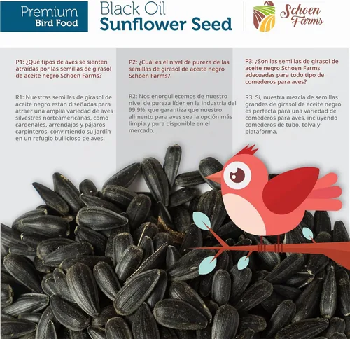 Vista 5 de Schoen Farms Semillas de girasol de aceite negro para pájaros (6 libras)