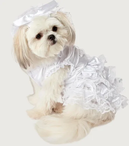 Vista 4 de Rubies Disfraz de novia para perros o gatos, grande