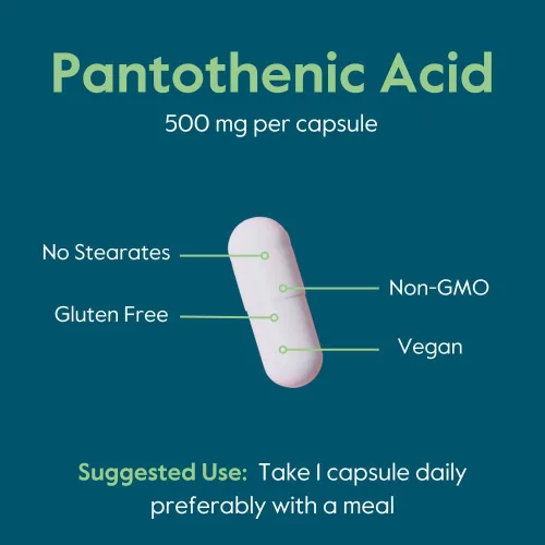 Vista 6 de BESTVITE Ácido pantoténico 500 mg (vitamina B5) (240 cápsulas vegetarianas) - Sin estearatos - Sin gelatina - Sin silicato de calcio - Vegano - Sin