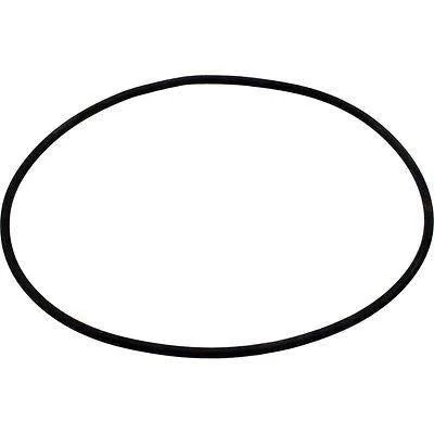 Vista 2 de Aladdin Equipment Co. Sta-Rite Posi-Flo Tapa de Filtro O-Ring O-419 31935-0001