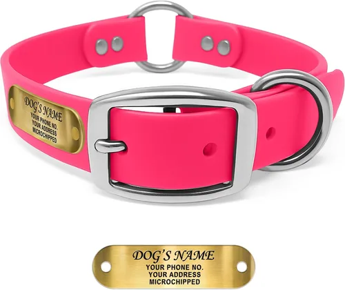 Vista 20 de Regal Dog Products Collar de Perro Naranja Mediano con Placa de Nombre Grabada Personalizada - Ajuste Personalizado, Resistente, Fácil de Limpiar