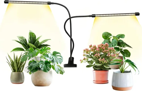 Vista 31 de iPower 21 Luz LED de Crecimiento con Espectro Completo para Plantas de Interior, Cuello de Cisne Ajustable, 3 Modos de Luz y 10 Niveles Regulables
