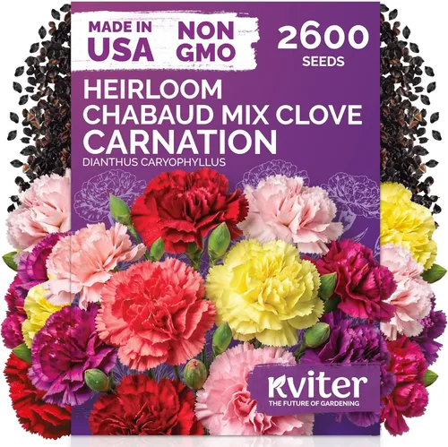 Vista 56 de 500 Ball's Orange Calendula Heirloom Flower Seeds, Calendula Officinalis