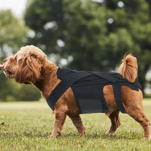 Vista 6 de Jiawu Soporte de espalda para perro, soporte de espalda para mascotas, protector de espalda de perro para artritis, recuperación quirúrgica espinal