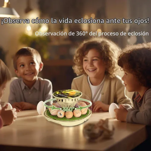Vista 5 de Incubadoras inteligentes de pollo para incubar huevos con volteador automático, aves, pato, codorniz, incubadora de 12 huevos, pantalla de control