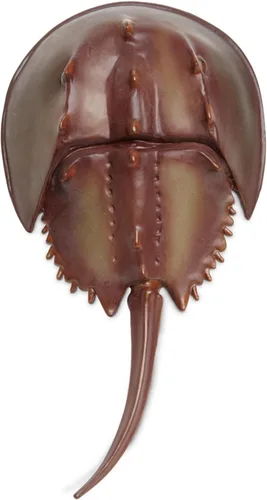 Vista 3 de Safari Ltd. Figura de cangrejo herradura – Figura detallada de plástico de 7 pulgadas – Divertido juguete educativo para niños, niñas y niños a