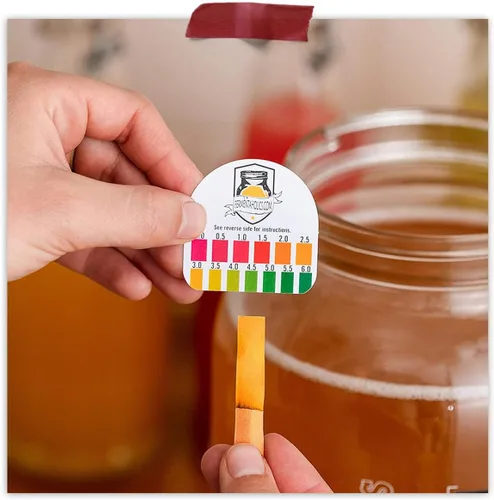 Vista 6 de Kombucha Essentials Kit – Incluye Kombucha Orgánica USDA SCOBY + tarro de fermentación de vidrio de 1 galón con cubierta transpirable + tiras de pH