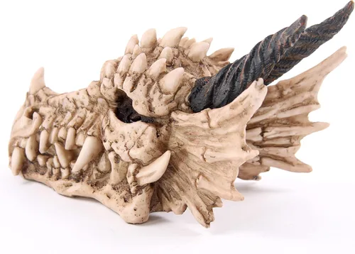 Vista 3 de Puckator DRG186 Dragon Skull Money Box 19 x 11 x 11 cm, Mixed, Height 11cm Width 11cm Length 19cm Slot 3.5cm