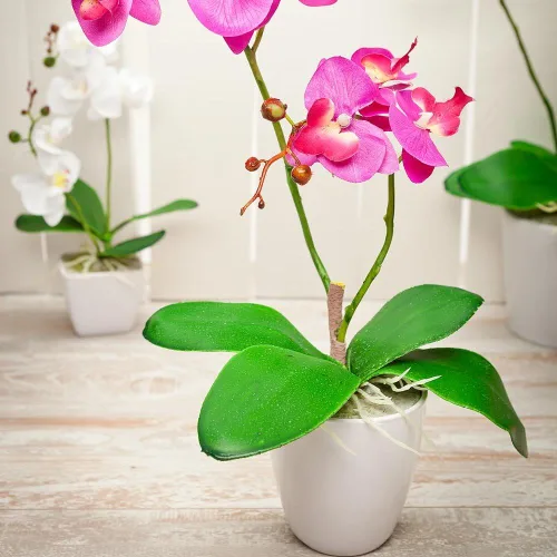 Vista 6 de Restaurantware Faux Fiore Violet Allium - Maceta blanca - Plantas de imitación - 14.6" - Caja de 1 unidad