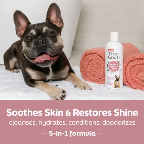 Vista 2 de True Coat Short & Smooth Coat - Champú para perros, 5 en 1, calma y brilla con leche de avena, aceite de coco y vitamina E, 16 onzas Corto y suave