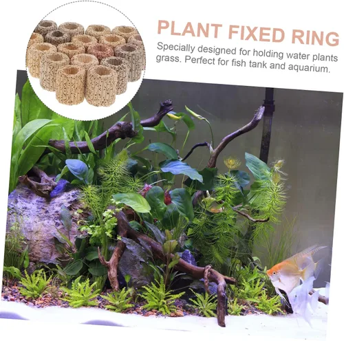 Vista 7 de TEHAUX Soporte para plantas de acuario, 20 unidades, anillo fijo de cerámica, para fijación de plantas de agua, color aleatorio