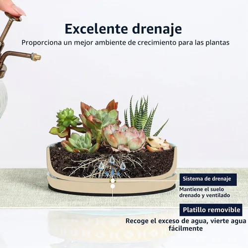 Vista 5 de Selamica Macetas de Cerámica para Suculentas, Macetas Poco Profundas para Suculentas con Orificio de Drenaje y Platillo, Macetas