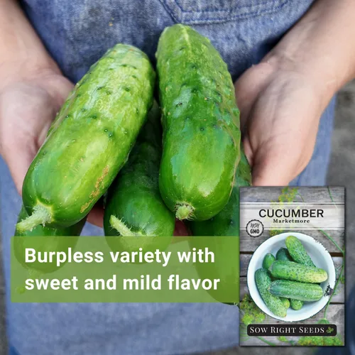 Vista 3 de Sow Right Seeds - Semillas de pepino Marketmore para plantar - Paquete de reliquia sin OMG con instrucciones para plantar y cultivar un huerto