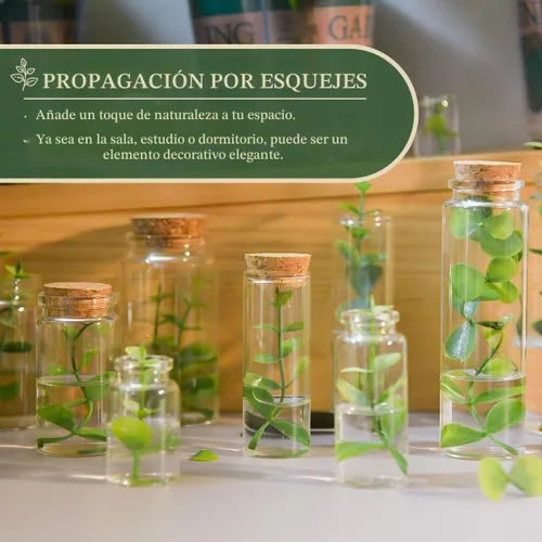 Vista 6 de JIUYUE 15 piezas de botellas de vidrio de 10 ml con corcho, frascos de vidrio pequeños, botellas de almacenamiento para líquidos