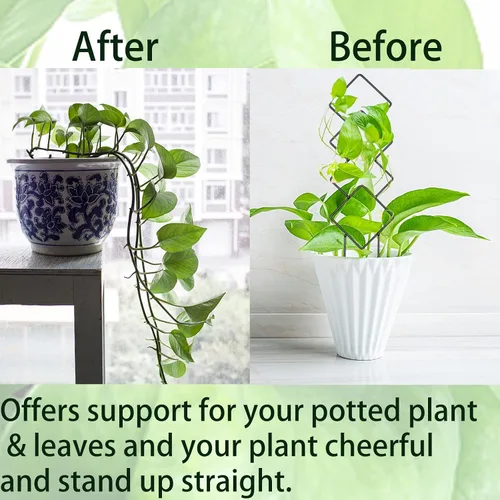 Vista 3 de 4 piezas de mini enrejado de metal para plantas en maceta, soporte de escalada para enredaderas Hoya (negro)
