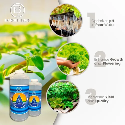 Vista 2 de Solución prémium de pH Up: corrige los desequilibrios de pH, maximiza la absorción de nutrientes, previene las plantas enfermizas, ajuste del pH