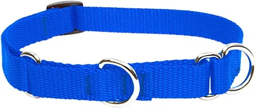 Vista 5 de LupinePet Basics - Collar martingala verde de 3/4 pulgadas, 14-20 pulgadas, para perros medianos y grandes