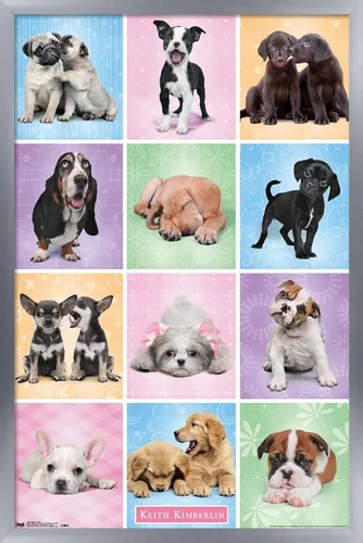 Vista 9 de Trends International Póster de pared Puppies Cuties, 22.375 x 34 Versión con marco negro
