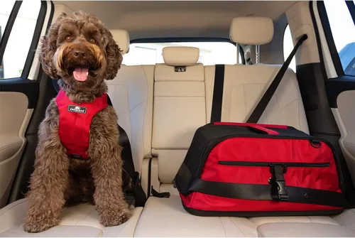 Vista 4 de Sleepypod Portador de mascotas para cabina de avión, talla única , Chocolate scuro Chocolate oscuro