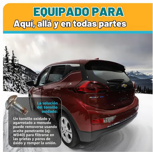 Vista 6 de Tornillos de matrícula de acero inoxidable para matrículas, marcos, cubiertas, juego de tornillos para placa de matrícula a prueba de óxido