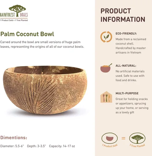 Vista 5 de Rainforest Bowls Cuenco de coco de palmera – Cuenco de arte sostenible inspirado en la naturaleza – Hecho a mano de una cáscara de coco recuperada