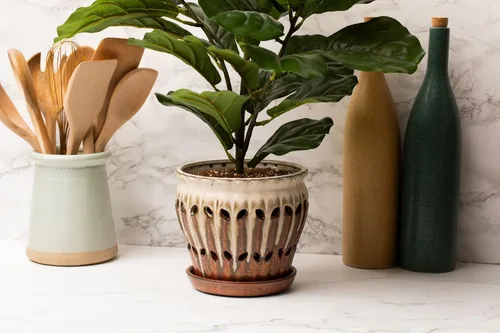 Vista 3 de rePotme Tierra para macetas multiusos para plantas de interior y exterior, orgánica y fabricada en los Estados Unidos, plantas de interior y mezcla
